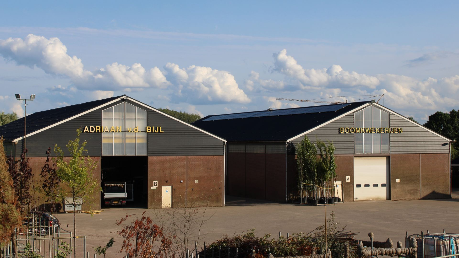 BOOMKWEKERIJ VAN DE BIJL